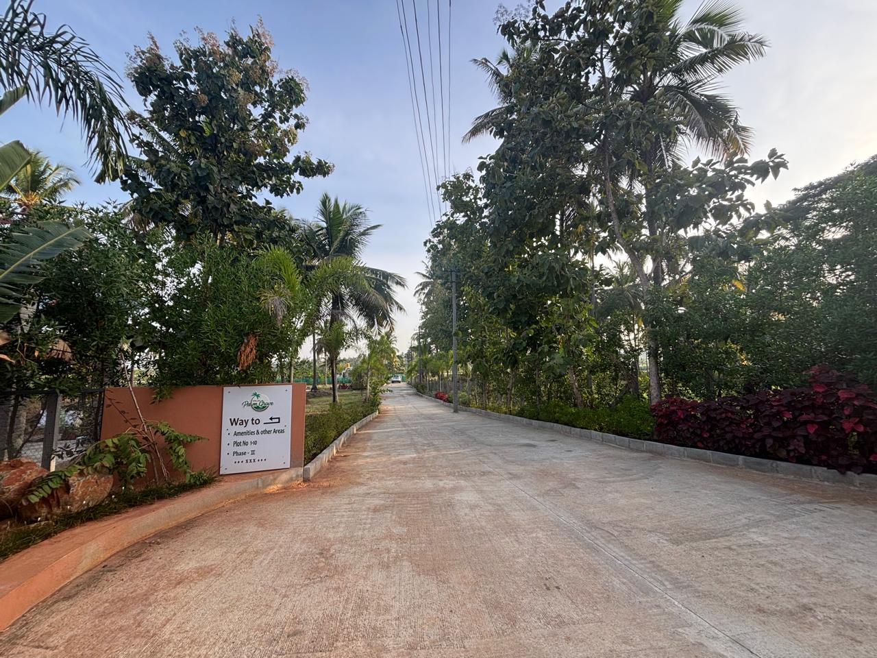 Palm Grove Gallery 1