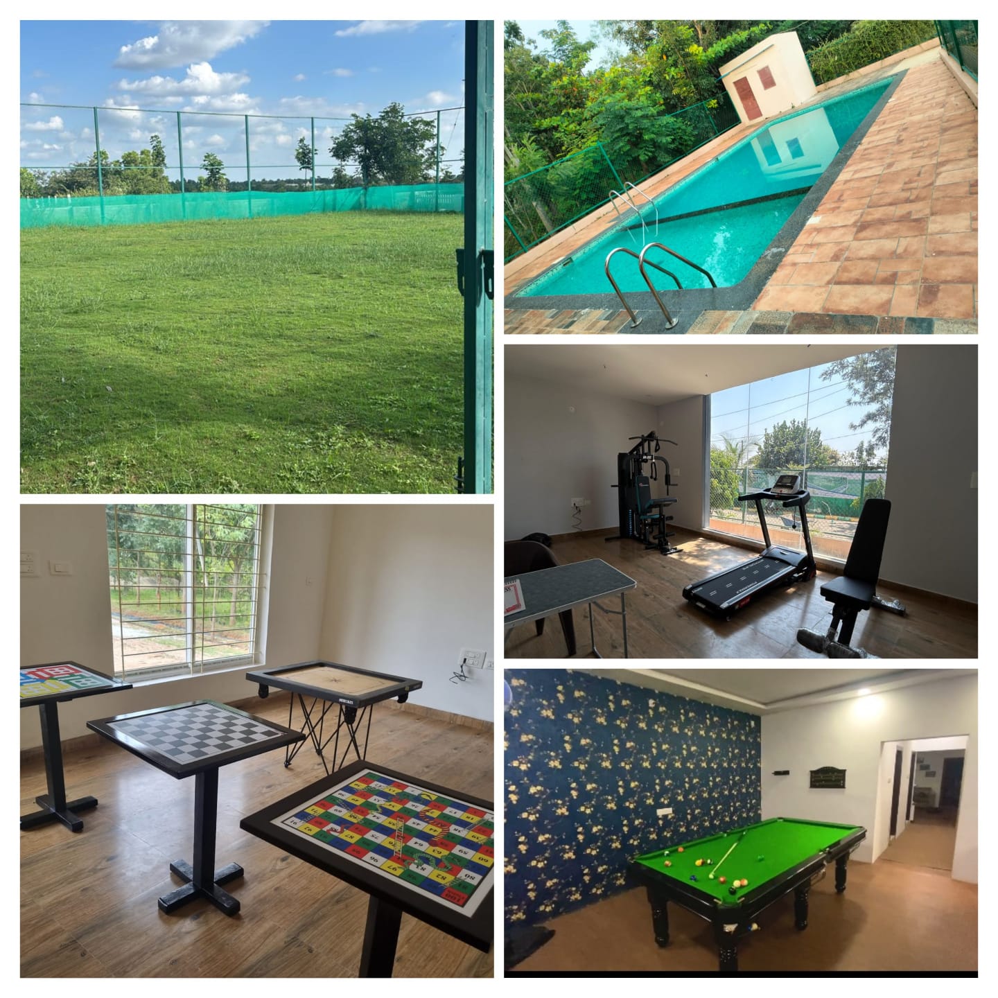 Stellar Mulberry Plot Layout