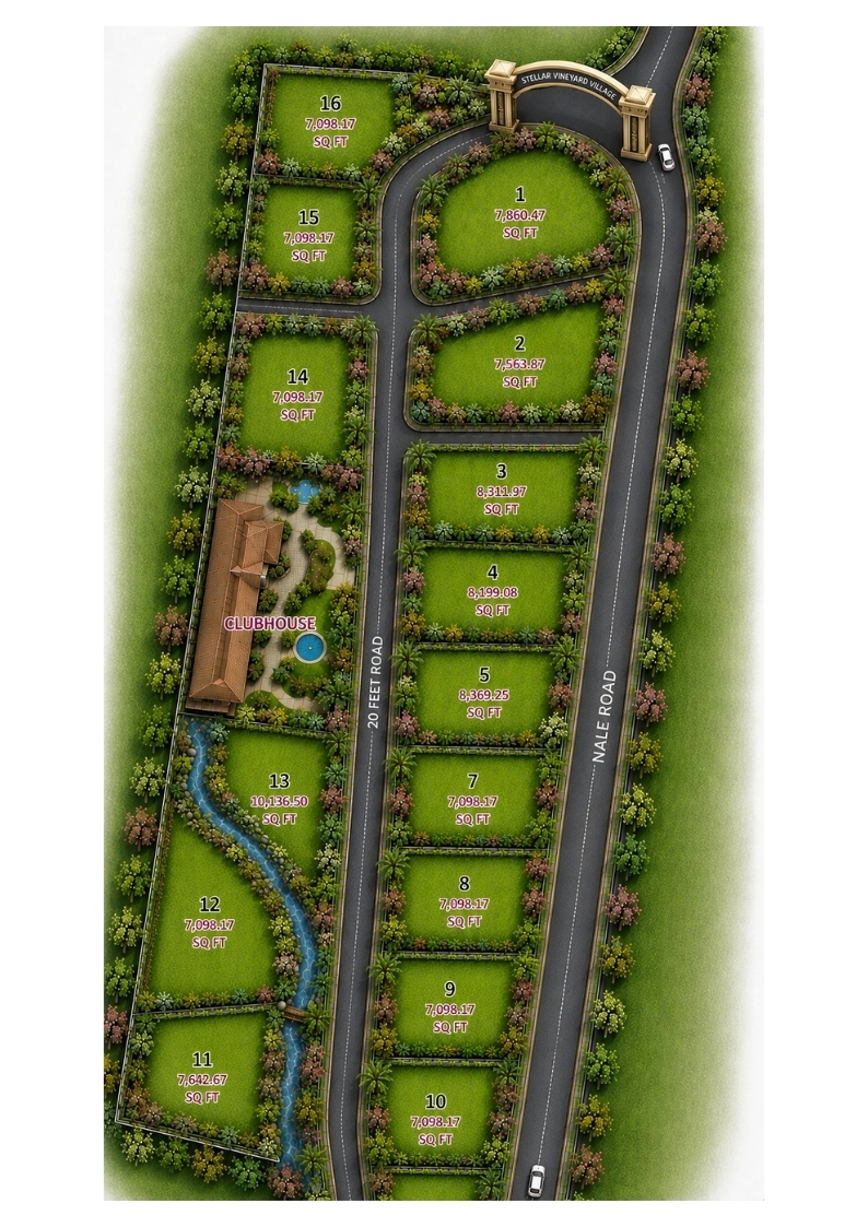 Vineyard Village Experience